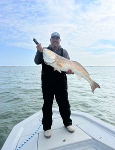Redfish caught in TX