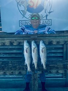 Three redfish caught in TX