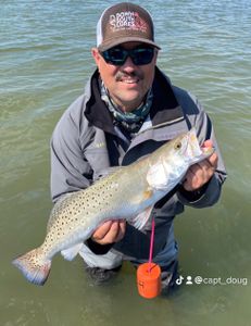 Spotted weakfish caught during fishing tour in Corpus Christi