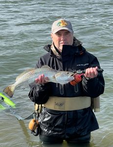 A spotted weakfish measuring 16 inches caught in Corpus Christi