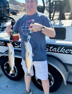 Two spotted weakfish in a fishing scene in TX