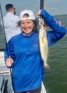 Spotted weakfish, 18 inch fish caught in TX