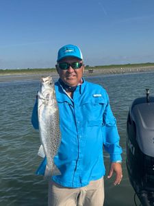 Spotted Weakfish, 20 inches, caught in TX