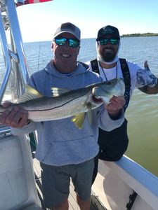 Snook Fish from Key Largo, Florida