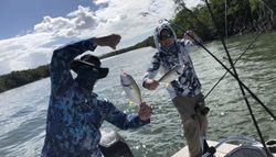 Yellow tail Snapper Catch in Florida Keys Fishing 