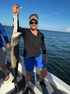 Shark Fishing in Offshore waters of Florida