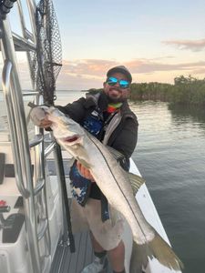 Florida's Snook Fishing