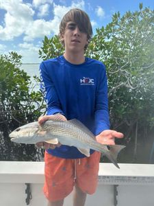 Redfish Fishing From The Everglades, FL