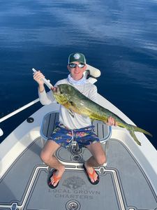 Large Mahi Mahi Fish from Key Largo, Florida