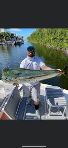 Mahi Mahi Fish from Key Largo, Florida