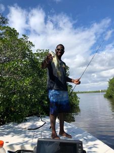 Snook Fishing in The Everglades, FL