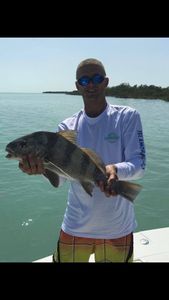 Inshore fishing for Black Drum in Florida