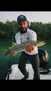 Snook Fish from Key Largo, Florida