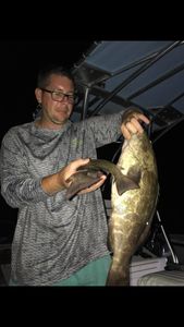 Grouper fishing in Florida Keys