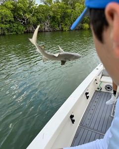 Top Rated Florida Keys Fishing