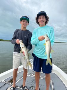 Snook Fish from Key Largo, Florida