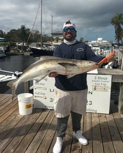 Great Barracuda fish caught in FL