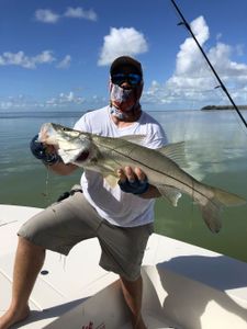 Big Snook Fish from Key Largo, Florida