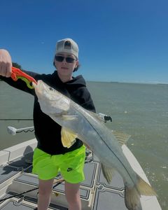 Snook fish caught in FL
