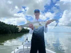 A single snook fish caught in Key Largo, Florida