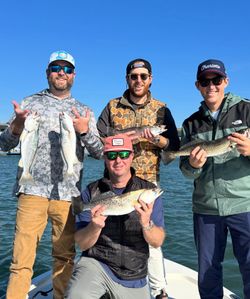 5 spotted weakfish caught fishing in NC