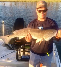 Redfish in North Carolina