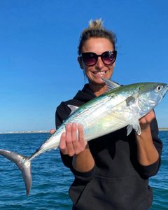 One angler with a 22-inch fish in Morehead City