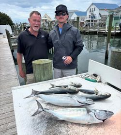 Atlantic Bonito catch displayed on cleaning table at Morehead City NC marina dock