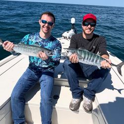 Two Atlantic bonito caught on fishing boat in Morehead City NC