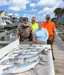 Fresh caught Atlantic bonito displayed on cleaning table at Morehead City NC fishing dock