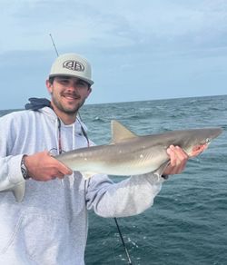 A fisherman holding an Atlantic Sharpnose Shark in Morehead City