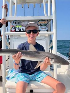 Atlantic Sharpnose Shark caught while fishing in Morehead City NC