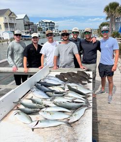6 bluefish caught on a fishing trip in NC