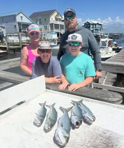 Fresh bluefish catch displayed on dock in Morehead City NC after successful fishing trip
