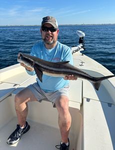 Cobia fish caught while fishing in NC