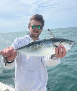 One little tunny fish caught in NC