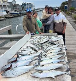 Three Spanish Mackerel and a Little Tunny fish caught by five people while fishing in Morehead City