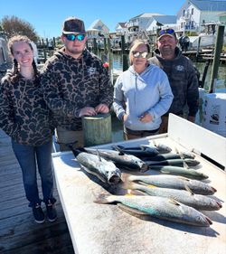Two squeteague and coho salmon fish caught while fishing in North Carolina