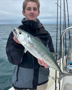 One person fishing in Morehead City
