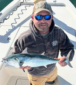A Little Tunny fish caught during fishing in Morehead City.
