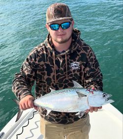 A Little Tunny fish caught while fishing in Morehead City