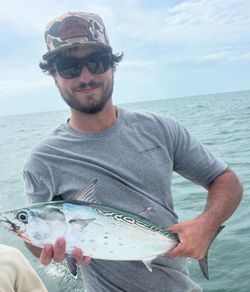 Little tunny fish caught while fishing in NC