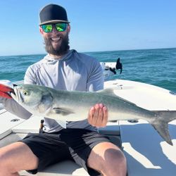 Bluefish catch on fishing boat in Morehead City NC waters