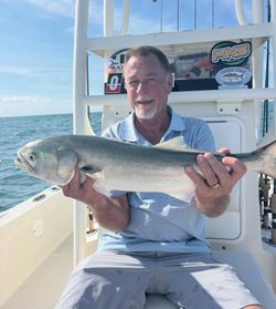 Fresh caught bluefish being held on fishing boat in Morehead City NC waters
