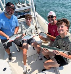 Fresh caught bluefish displayed on fishing boat deck in Morehead City NC
