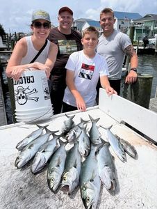 Successful fishing trip in Morehead City NC with bluefish and Spanish mackerel catch displayed on dock