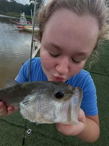 Freshly caught fish being held after fishing in Morehead City NC