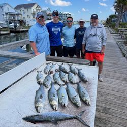 Fishing catch of Spanish Mackerel and Bluefish displayed on cleaning table in Morehead City NC