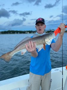 Redfish caught by angler in Morehead City