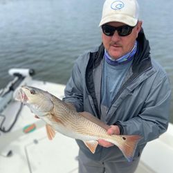 A redfish caught in Morehead City, North Carolina
